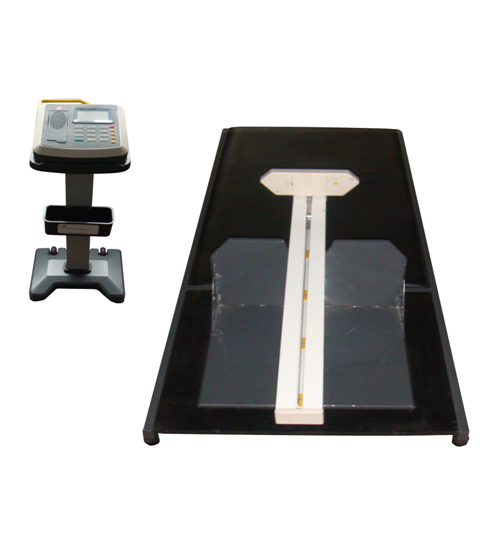 Sitting body forward bending tester